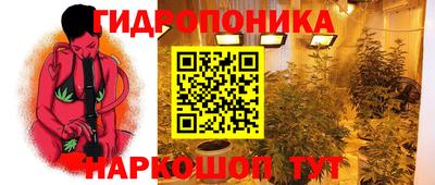 ПСИЛОЦИБИНОВЫЕ ГРИБЫ Апшеронск