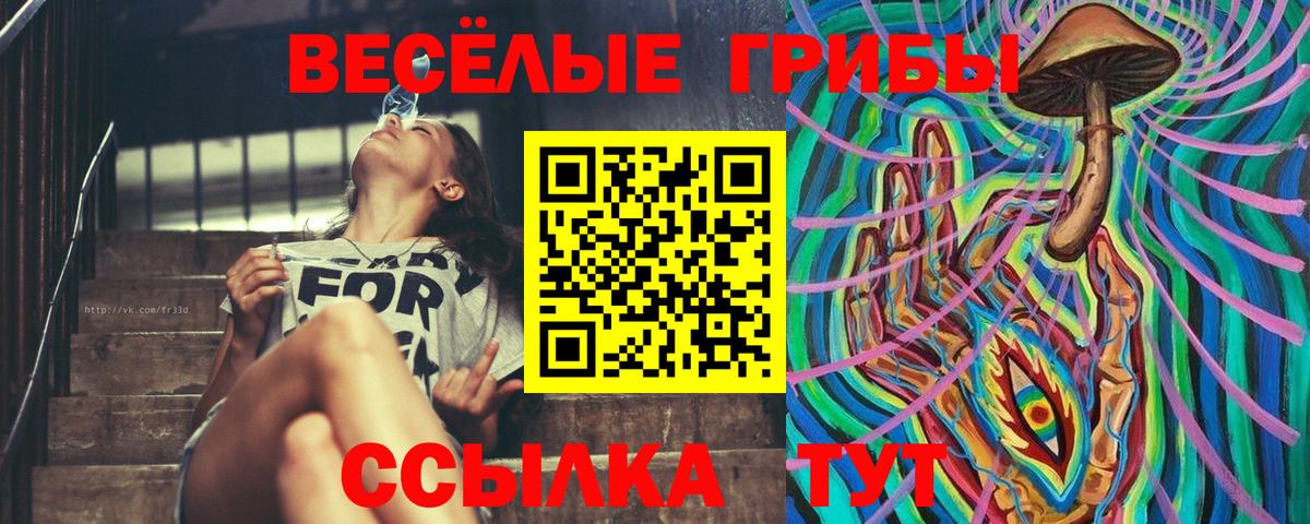 Галлюциногенные грибы прущие грибы  Вход с VPN  Галлюциногенные грибы Magic Shrooms  Карачаевск 