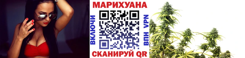 Бошки Шишки сатива Карачаевск